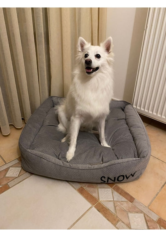 Personalisierbares Hundebett für mittelgroße Hunde